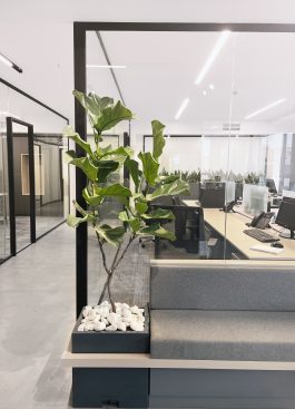 Ainaz Babaki Architecture