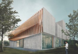 Ainaz Babaki Architecture