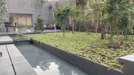 Ainaz Babaki Architecture